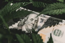 How cannabis business clients can minimize the tax impact of IRC Section 280E